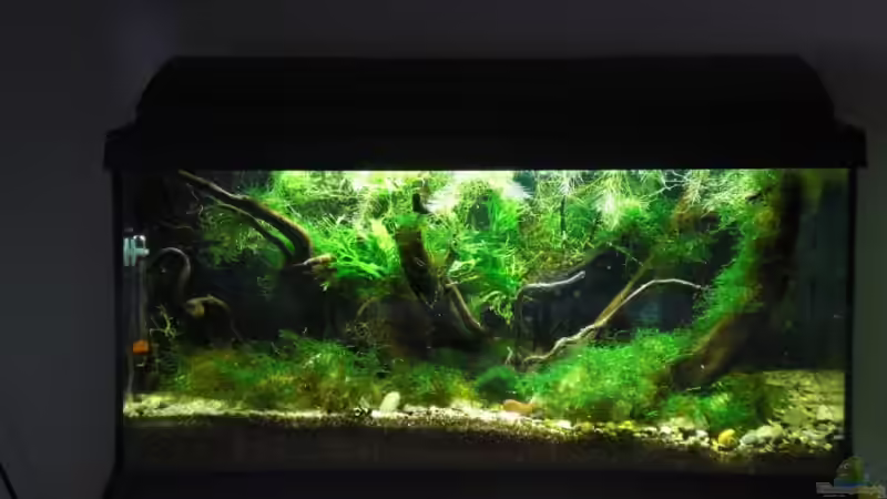 04.11.08 von Dominik (9)