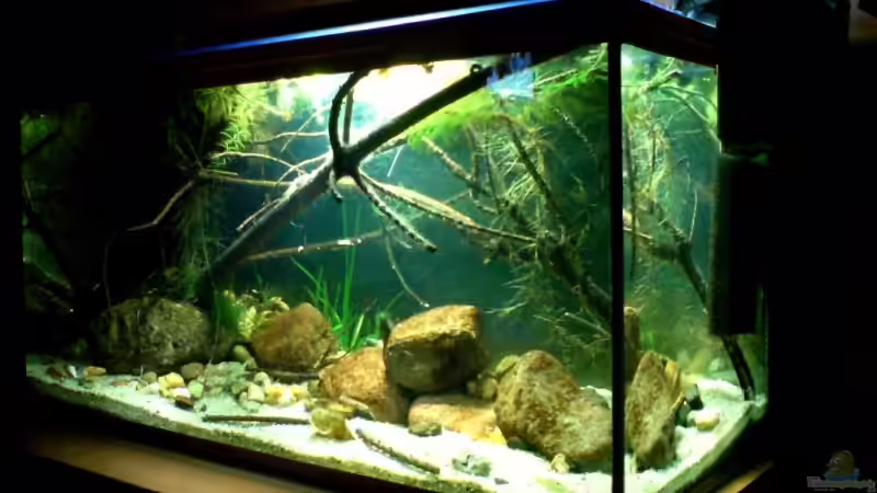 04.11.08 von timme (11)