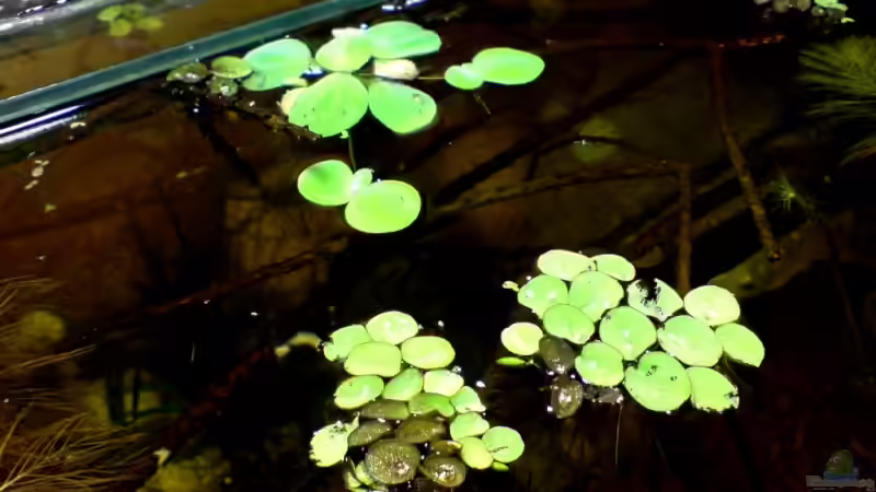 04.11.08 von timme (22)