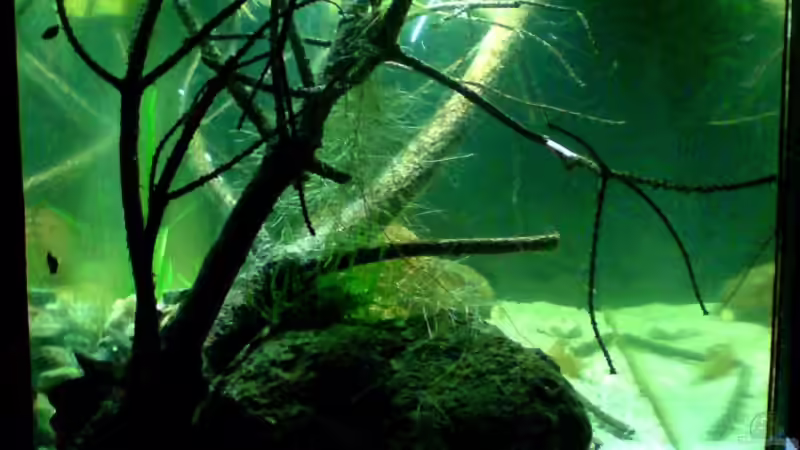 04.11.08 von timme (9)