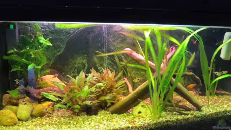 04.11.13 von Joni_99 (7)