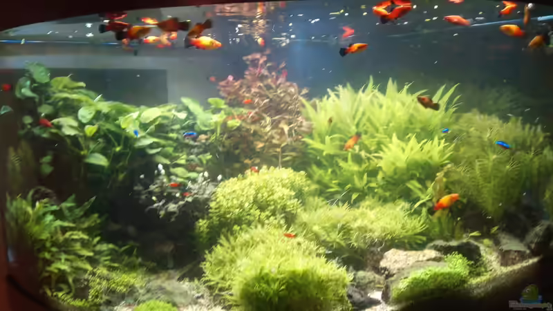 04.11.20 nach Schnitt von Rob Rüh (5)