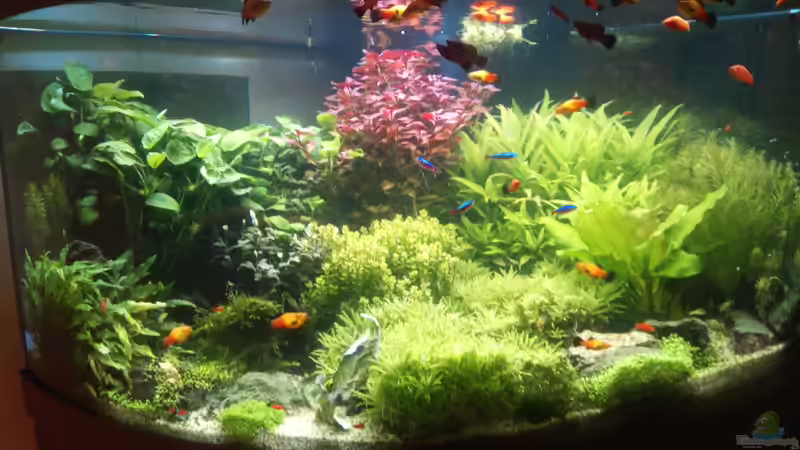 04.11.20 vor Schnitt von Rob Rüh (4)