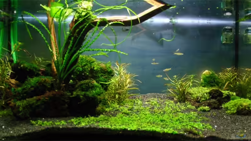 04.11.2007 von senf. (6)