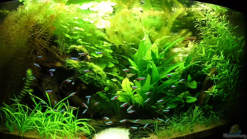 04.11.2011 von Christian Grunwald (8)