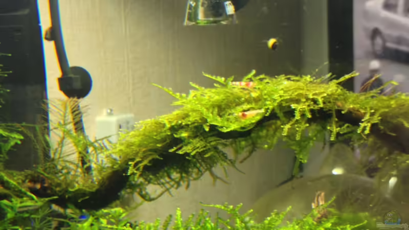 04.11.2012 von Walde (67)