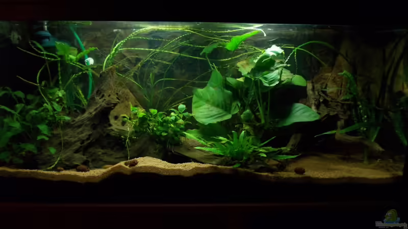 04.12.2011 von Koehler (4)