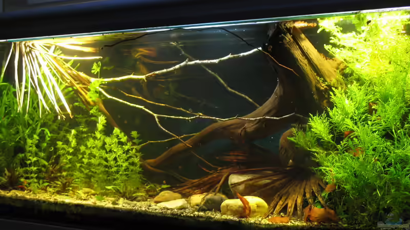 04.12.2017 ohne Diffusor von der Theoretiker (23)