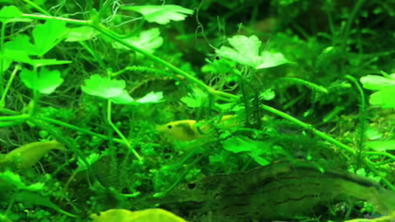 04/16 von frankHH (36)