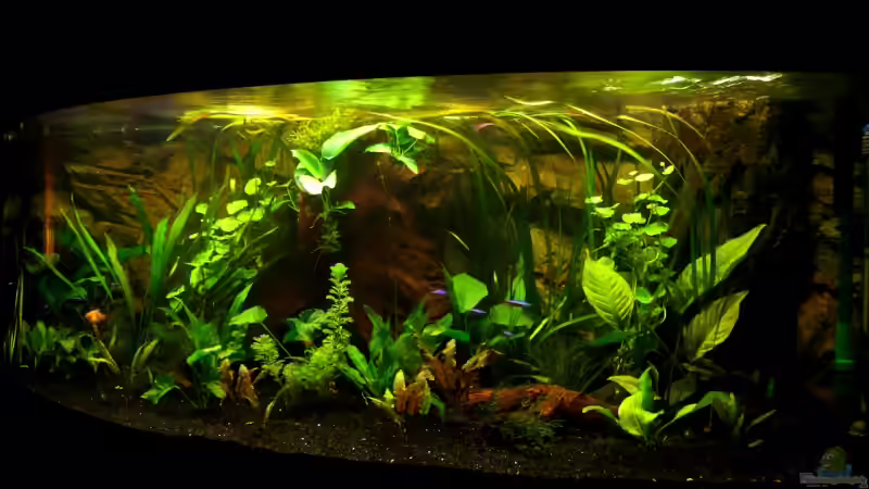 04.2008 von Tim Burow (2)