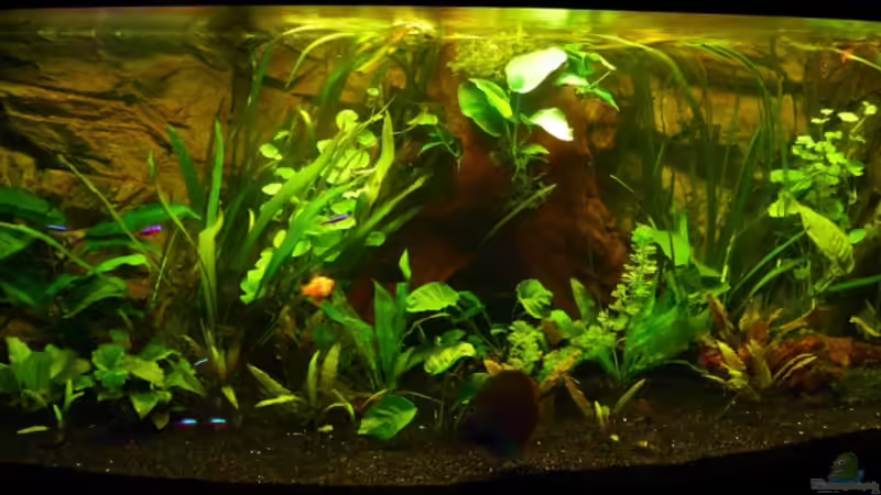 04.2008 von Tim Burow (3)