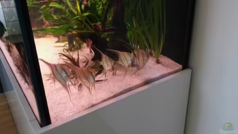 04.2014 von Dani B (10)