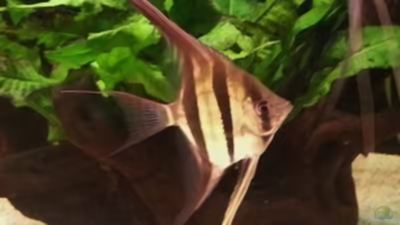 04.2014 von Dani B (11)