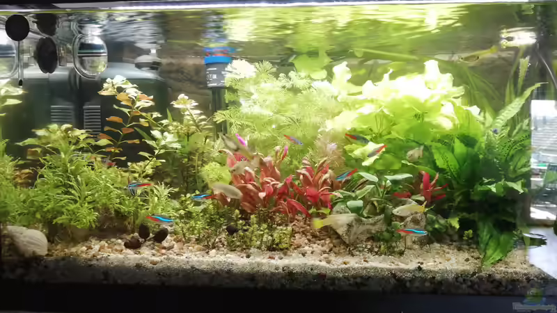 04/2021 von KleinerFisch (4)