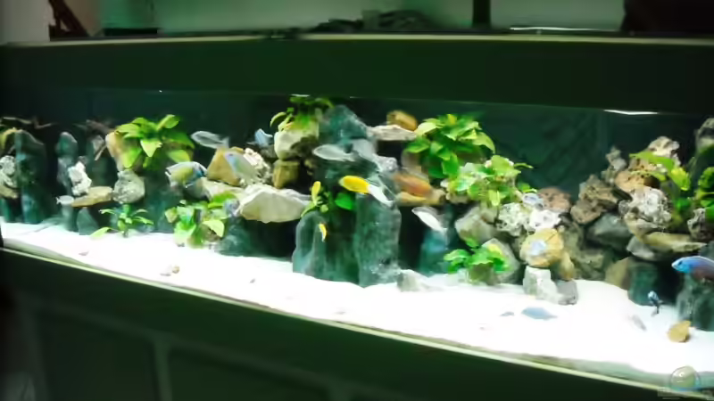 04.Februar von Herbert (38)