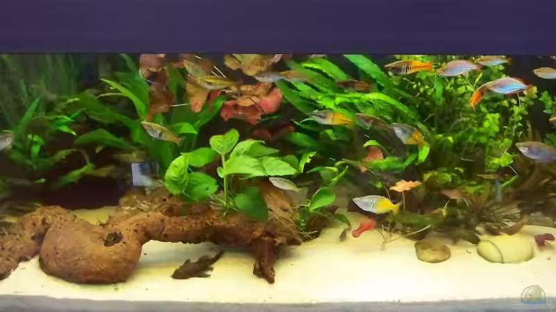 05. April 2012 von Peter Walenciak (13)