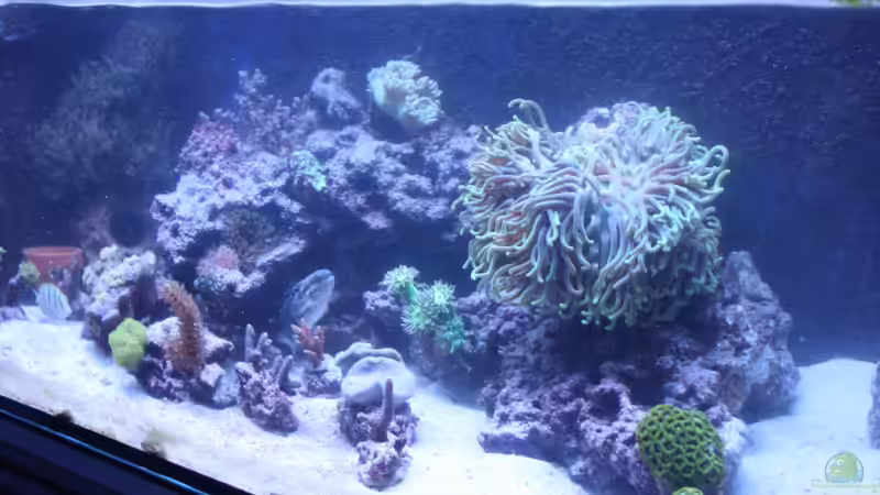 05. Oktober 2012 von David F. (6)