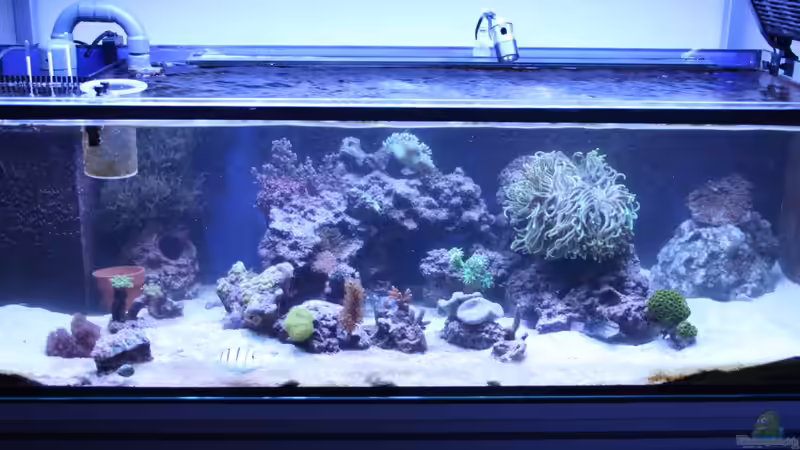 05. Oktober 2012 von David F. (7)