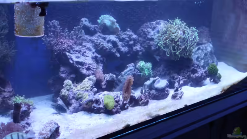 05. Oktober 2012 von David F. (8)