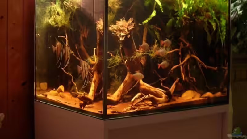 05.01.09 von Daniel_ (7)