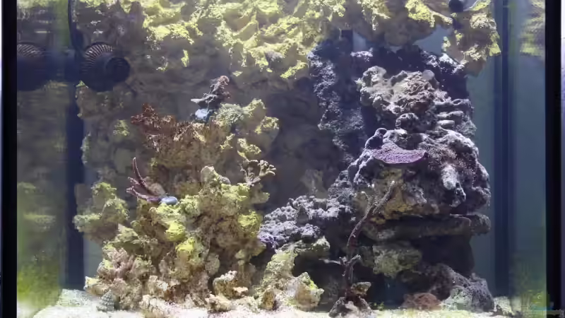 05.01.2008 von Stephan Ascher (10)