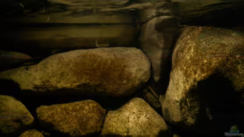 05.02.11 von LaEy (32)