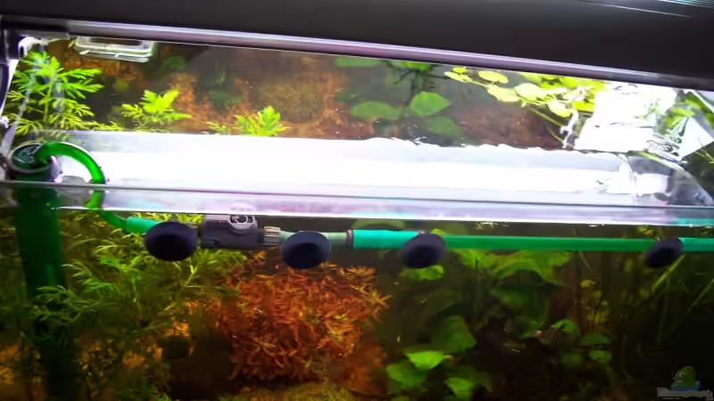 05.02.2009 von Jens J. (3)