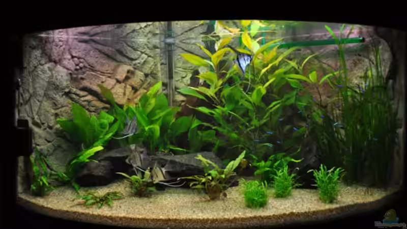 05.02.2011 von jmvitt (6)