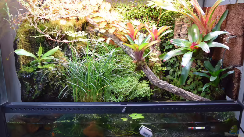 05.02.2015 von Junglist (31)