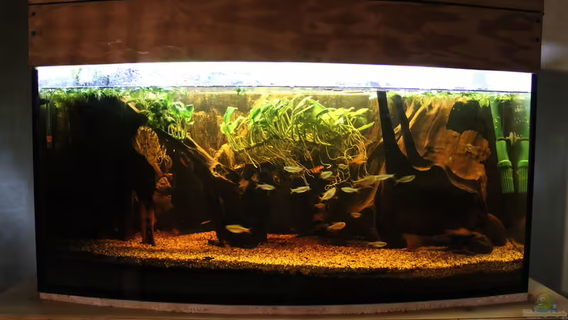 05.02.2015 von SouthAmerica (2)