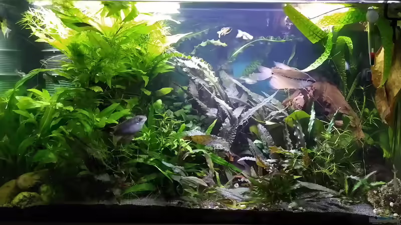 05.02.21 von Stephy (11)