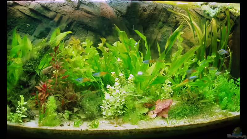 05.03.2009 von Michaela (1)