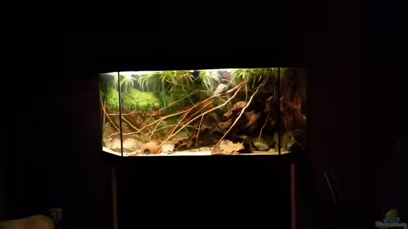 05.03.2014 von ~Danny~ (8)