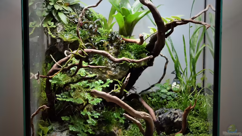 05.03.2022 von Junglist (11)