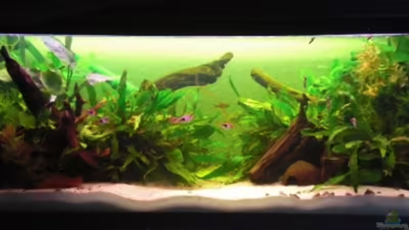 05.04.09 von Dominik (14)