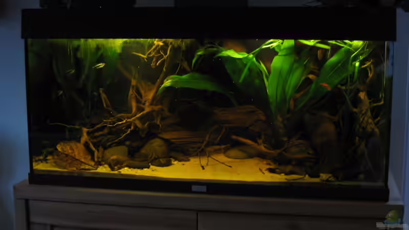 05.04.15 von Jemafa (10)