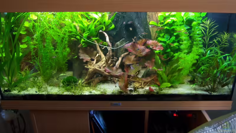 05.04.2015 - Gesamtansicht von Schratze (18)