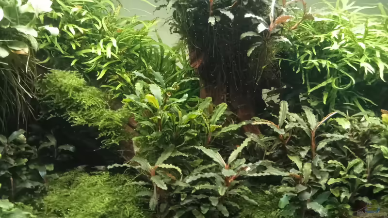 05.04.2023 von Mr-Shrimp (19)