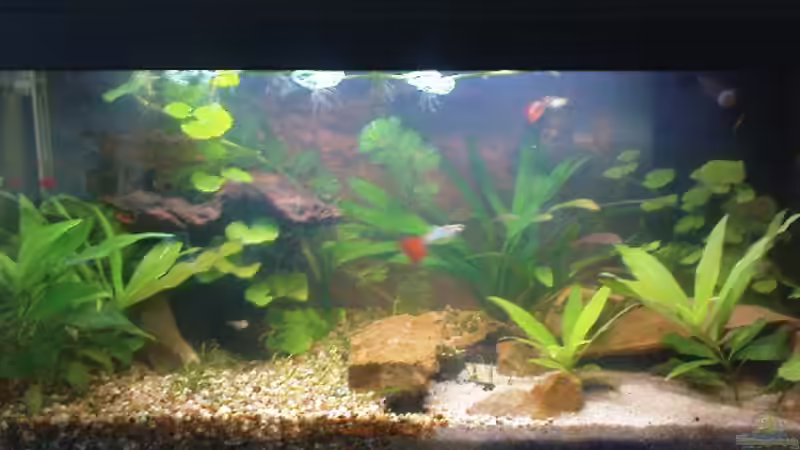 05.05.2010 von Ricky Helfert (3)