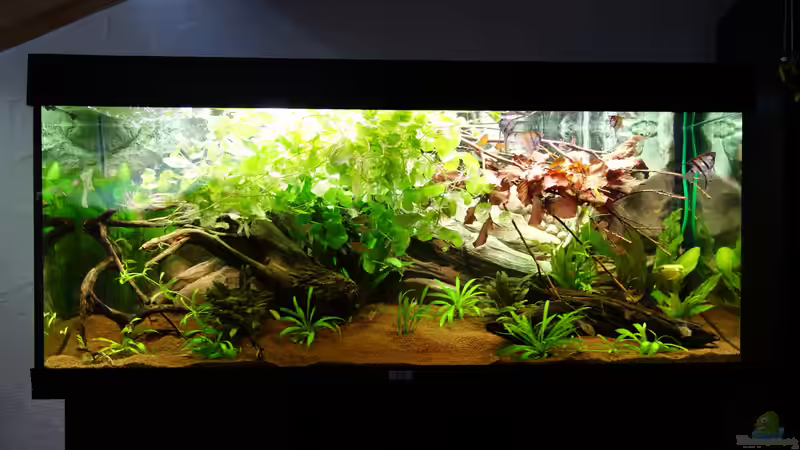 05.05.2017 von Atacama (3)