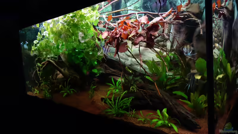 05.05.2017 von Atacama (4)