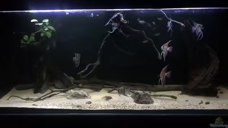 05.05.2020 von der Steirer (4)