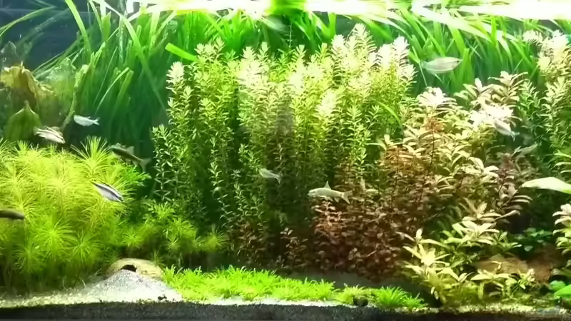 05.06.18 von Stephy (8)