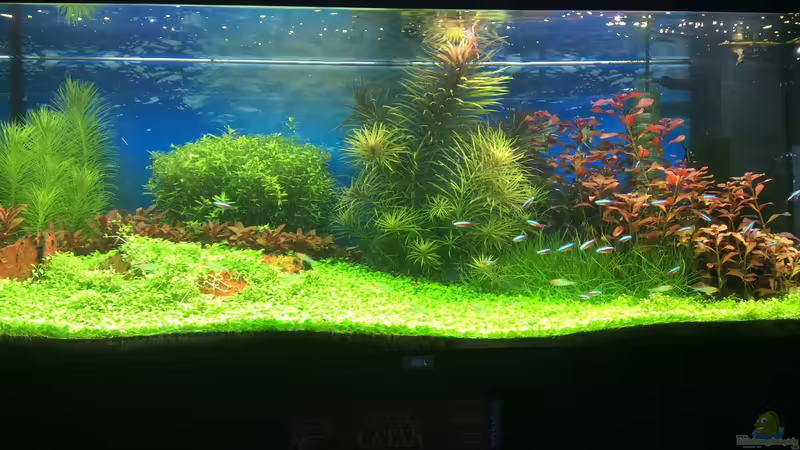 05.06.2014 von Terence Hill (14)