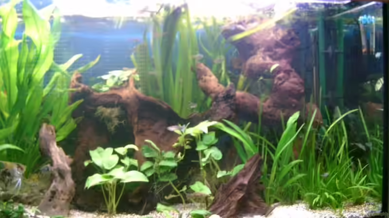 05/06 von elbochos (9)