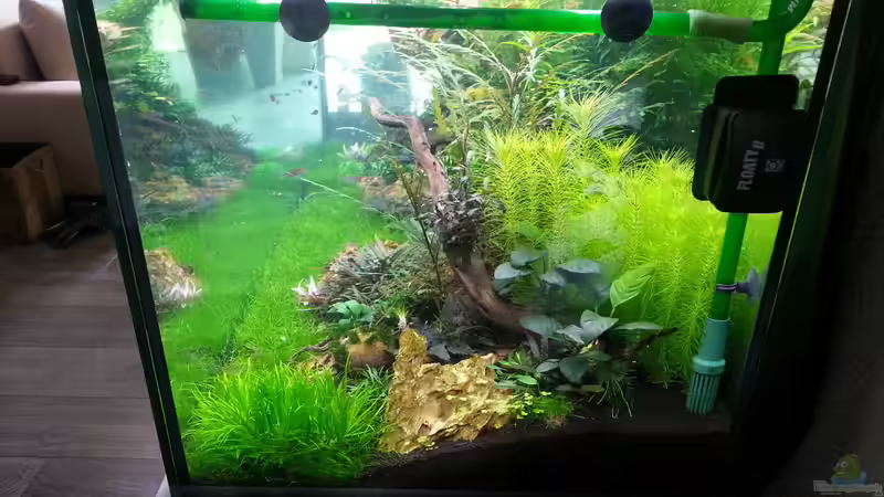 05.07.14 Aufnahme von der rechten Seite von Olle696 (6)