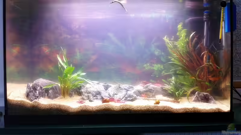 05.07.2011 von Sebastian Philipp (10)