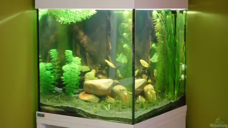 05.08.09 von ml69 (4)