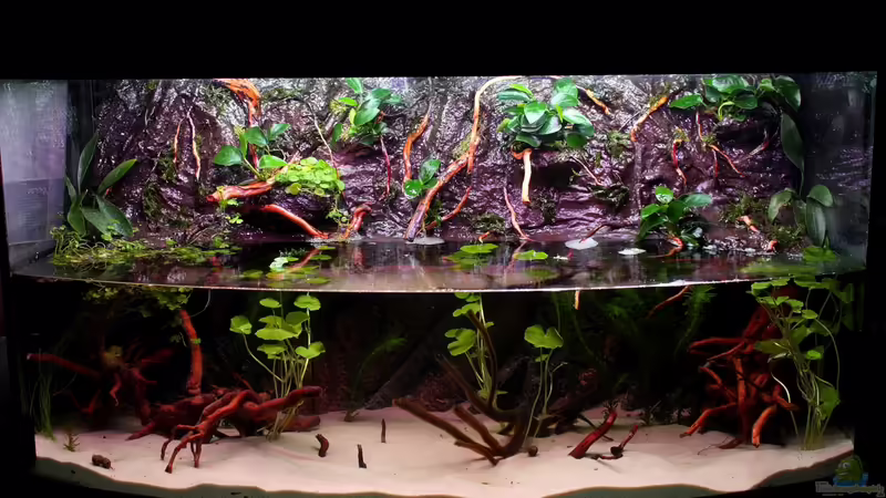 05.08.2013 von Koehler (3)