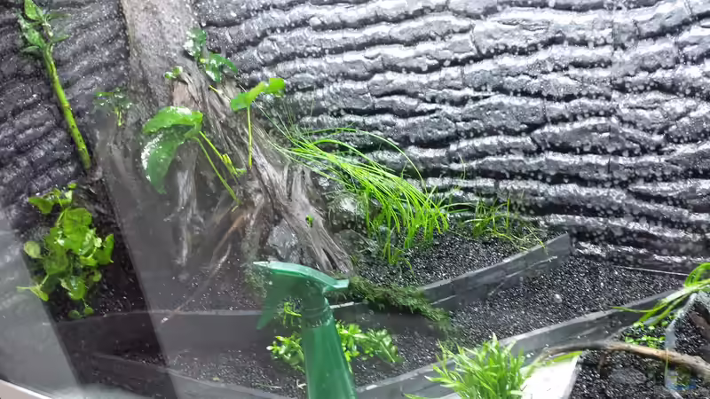 05.09.14 von sonic85 (10)